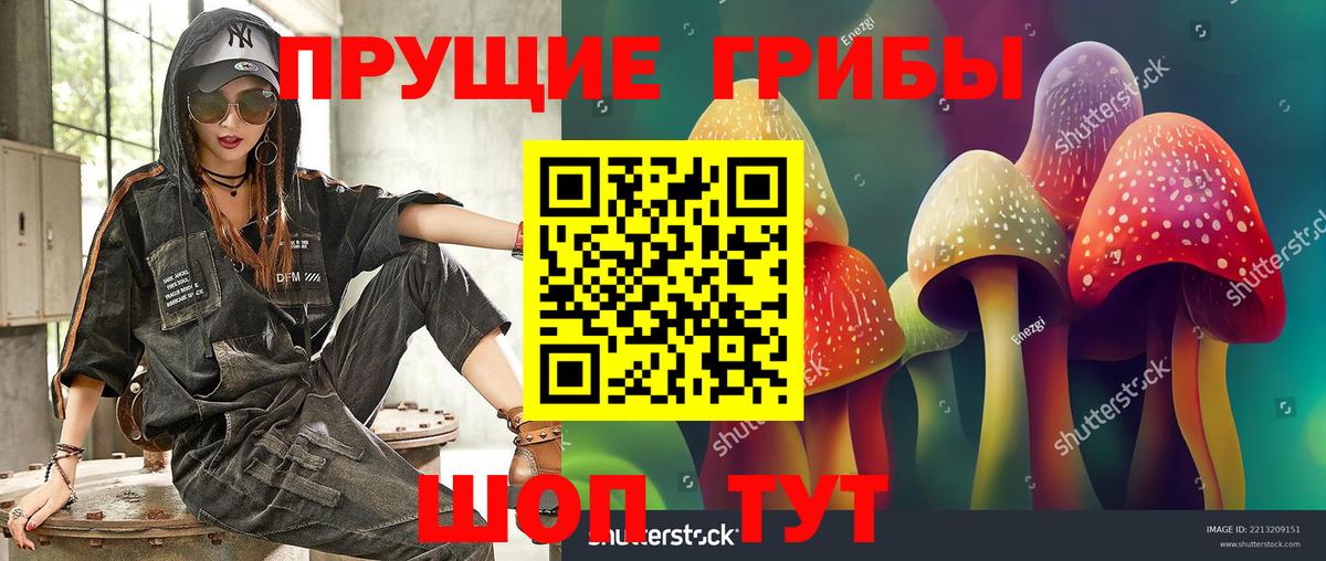 Псилоцибиновые грибы Psilocybine cubensis  Вход с VPN  Изобильный 