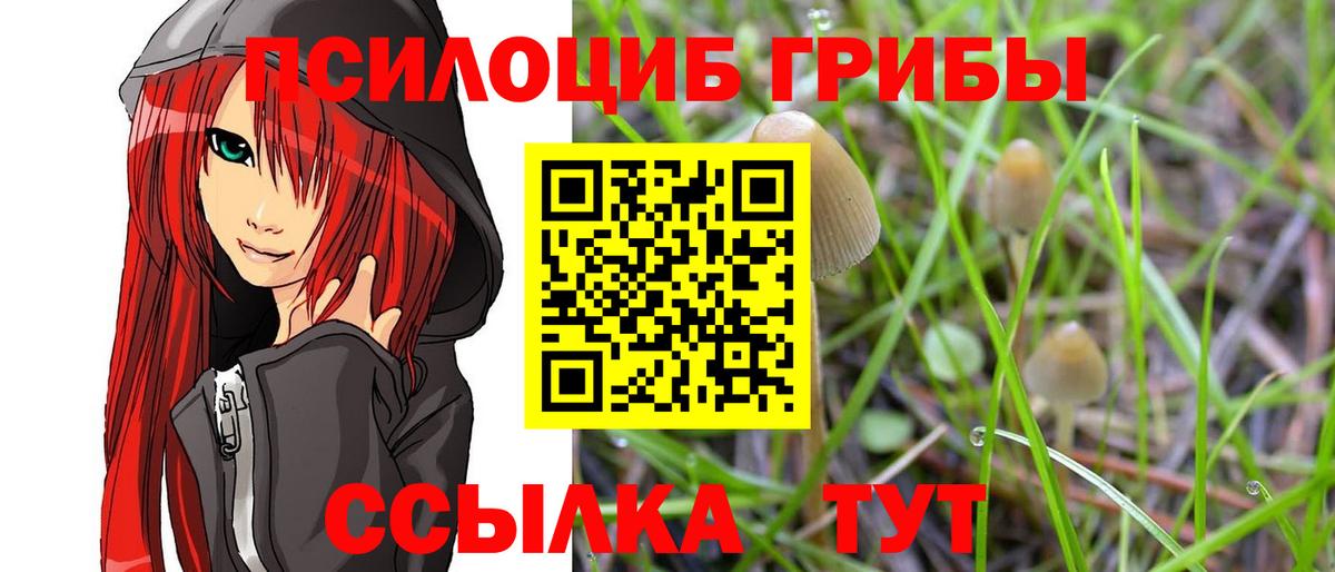Галлюциногенные грибы Psilocybe Изобильный