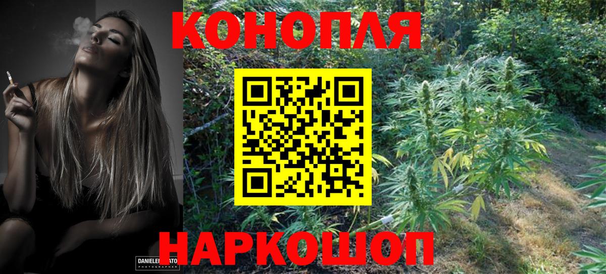 Изобильный  Конопля White Widow  Конопля план  Марихуана MAZAR  Вход с VPN  Марихуана гибрид 